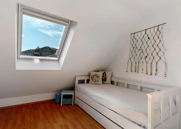 Claudi * Zell am Harmersbach